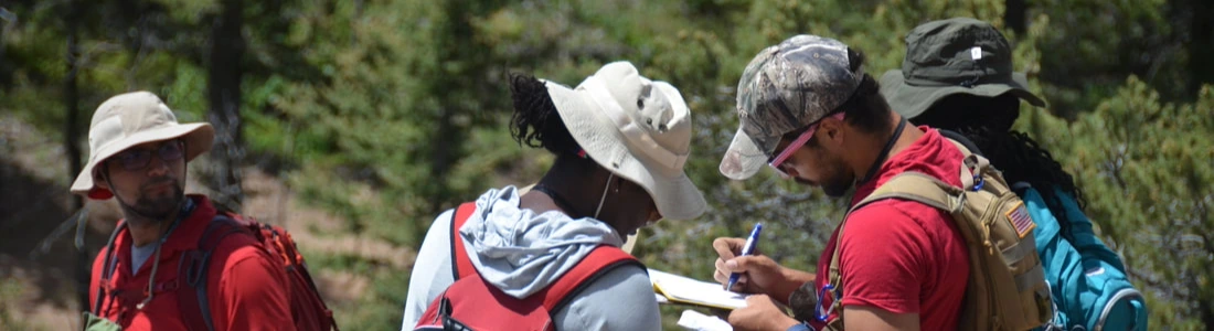 Four students observing and taking notes