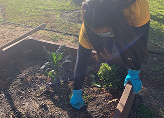 Day of Service Signin grass