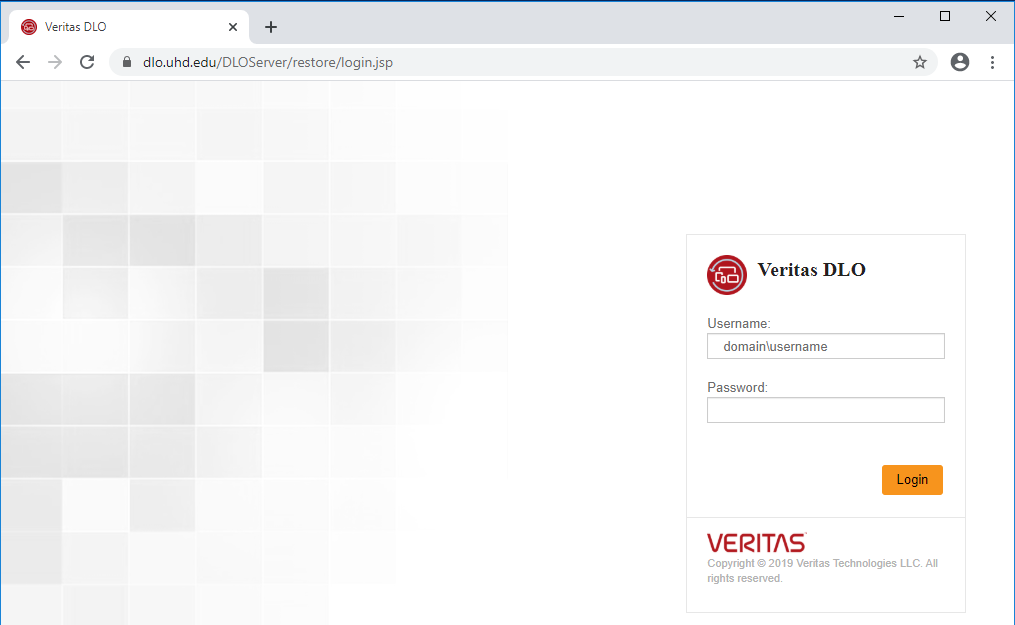 Veritas DLO Login screenshot