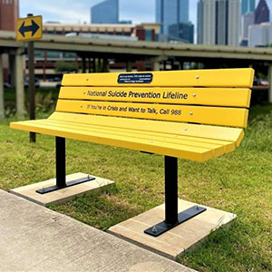Suicide Awareness Bench