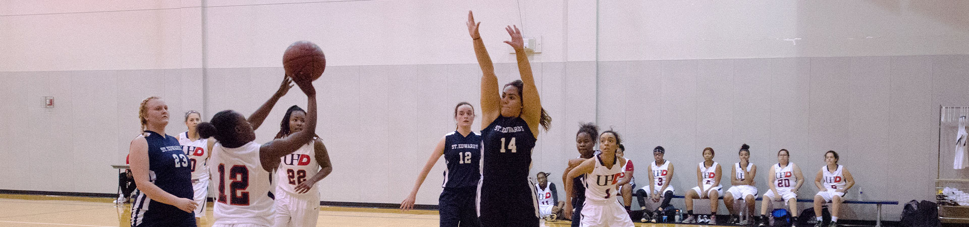 Women Basketball player