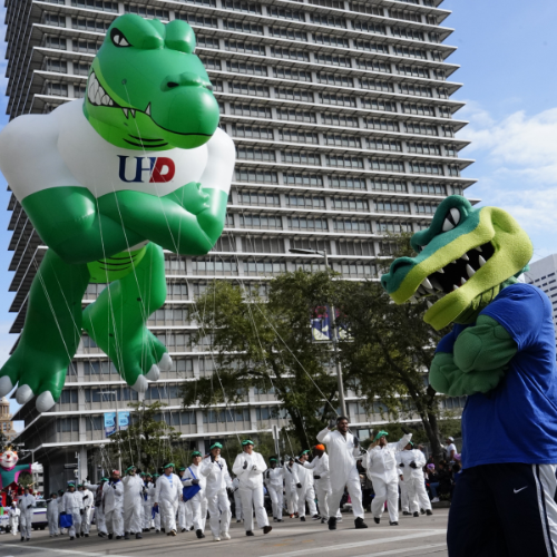University of Houston-Downtown mascot EduGator folds arms at the heb thanksgiving day parade with a 45 foot tall alligator ballon with 
